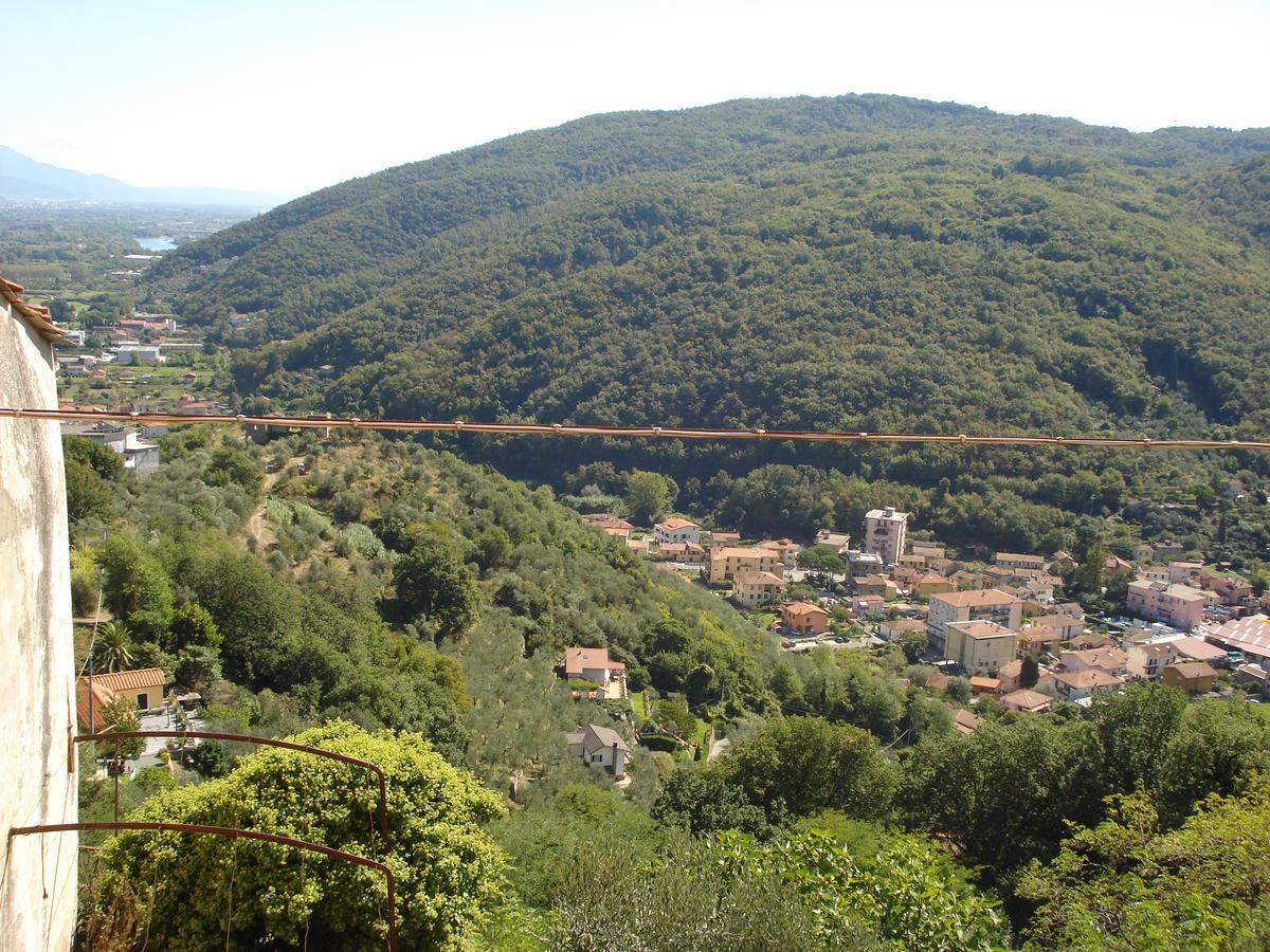 Da Giuse Panzió Trebiano Kültér fotó