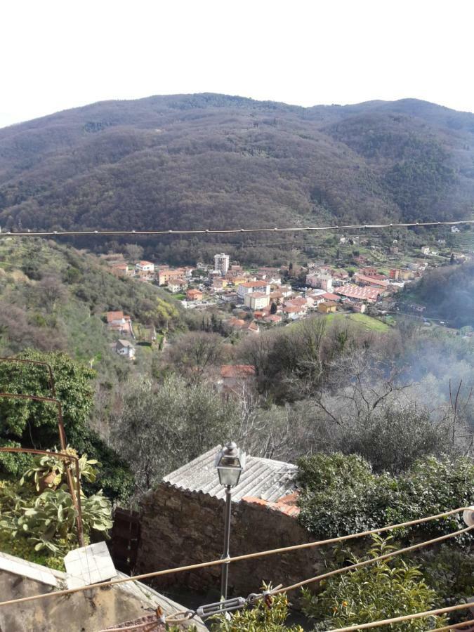 Da Giuse Panzió Trebiano Kültér fotó